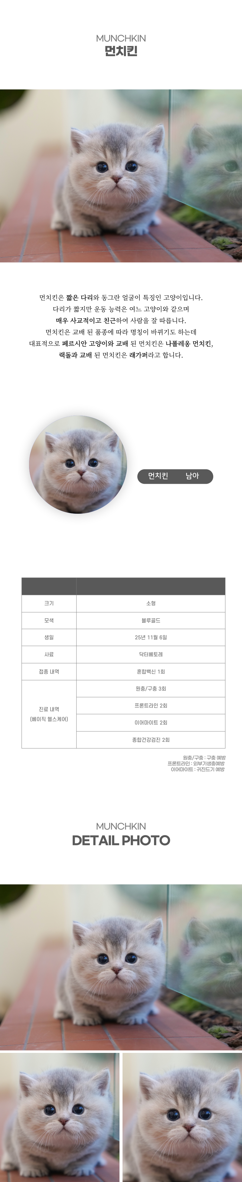 먼치킨_상세이미지_2